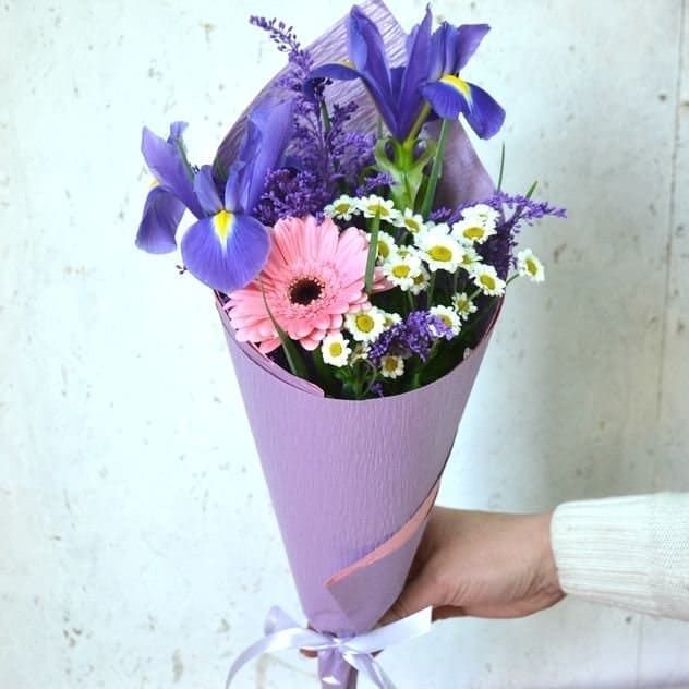 Красотка от 3 200 руб.